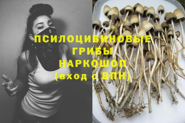 ALPHA-PVP Бородино