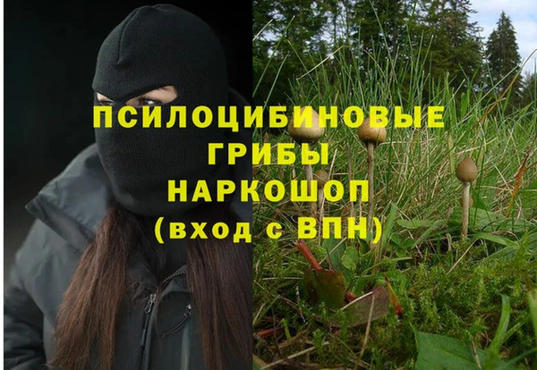 ALPHA-PVP Бородино