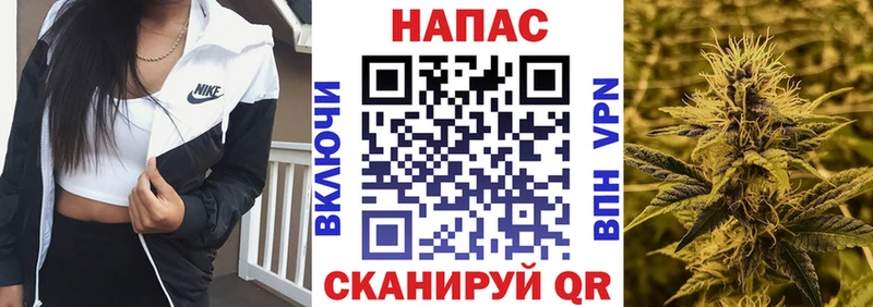 МАРИХУАНА сатива  Купить  Белый 